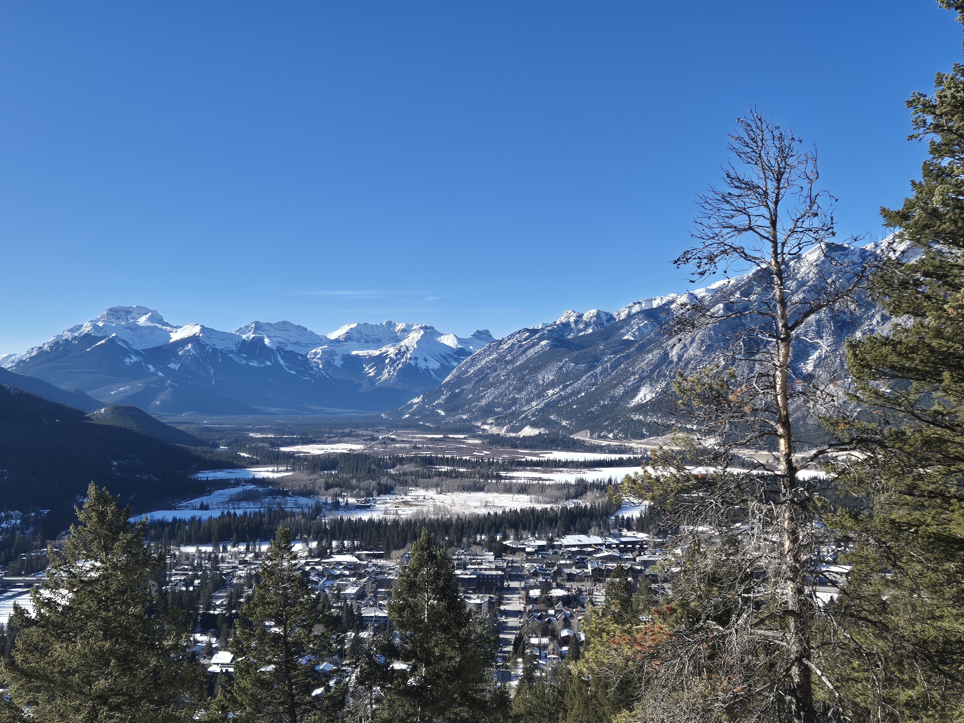 Description of the image